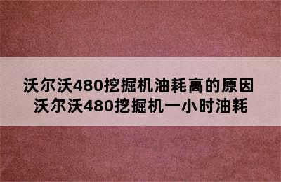 沃尔沃480挖掘机油耗高的原因 沃尔沃480挖掘机一小时油耗